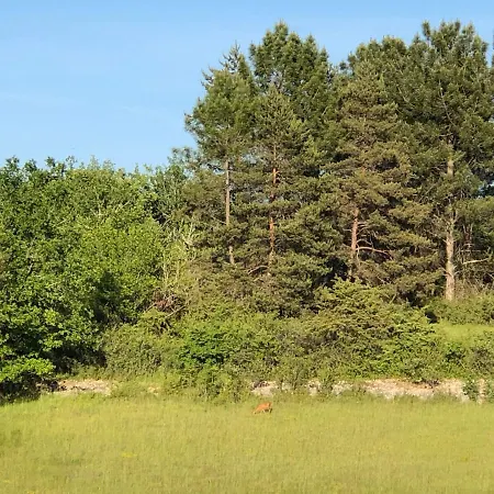 Villa Picturesque Renovated With Pool *