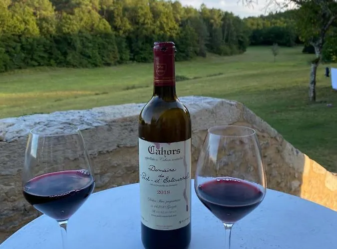 Picturesque Renovated With Pool Willa Les Junies